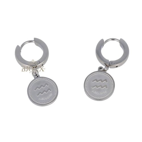 Orecchini segno zodiacale acquario in acciaio