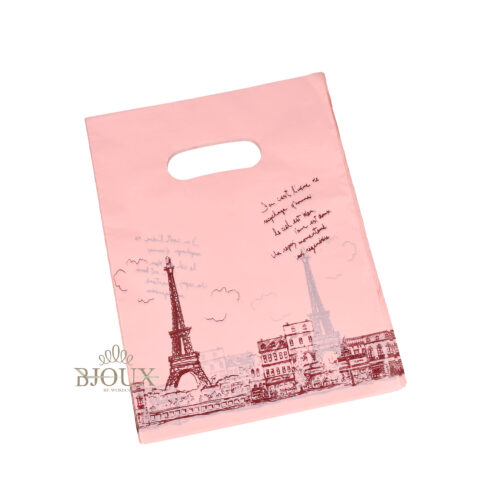 Busta Paris 100 pezzi in plastica 15x20