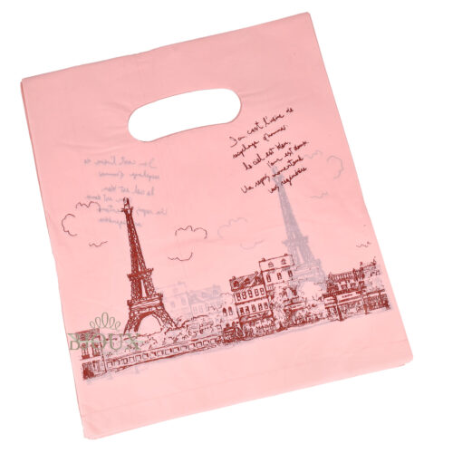 Busta Paris 100 pezzi in plastica 20x25