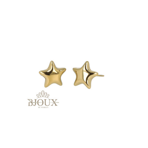 Orecchini Stella Bold  - In Acciaio Lucido